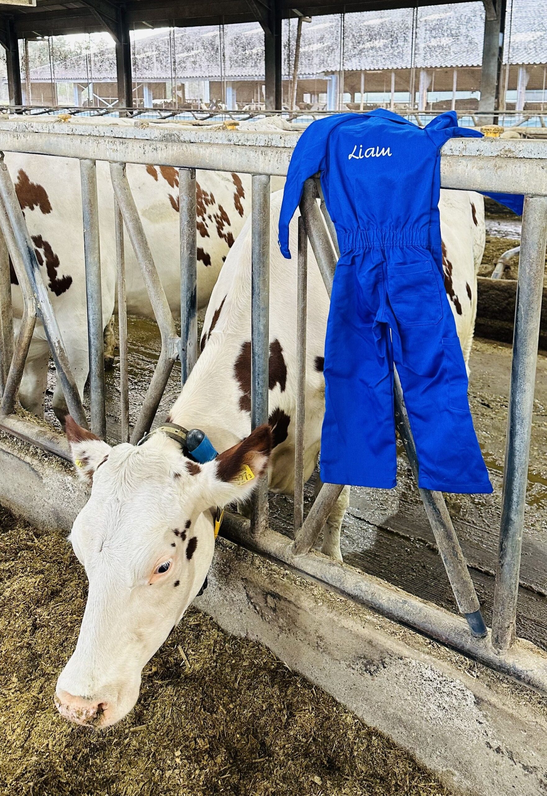 Kinderoverall met naam verkrijgbaar bij TOEF