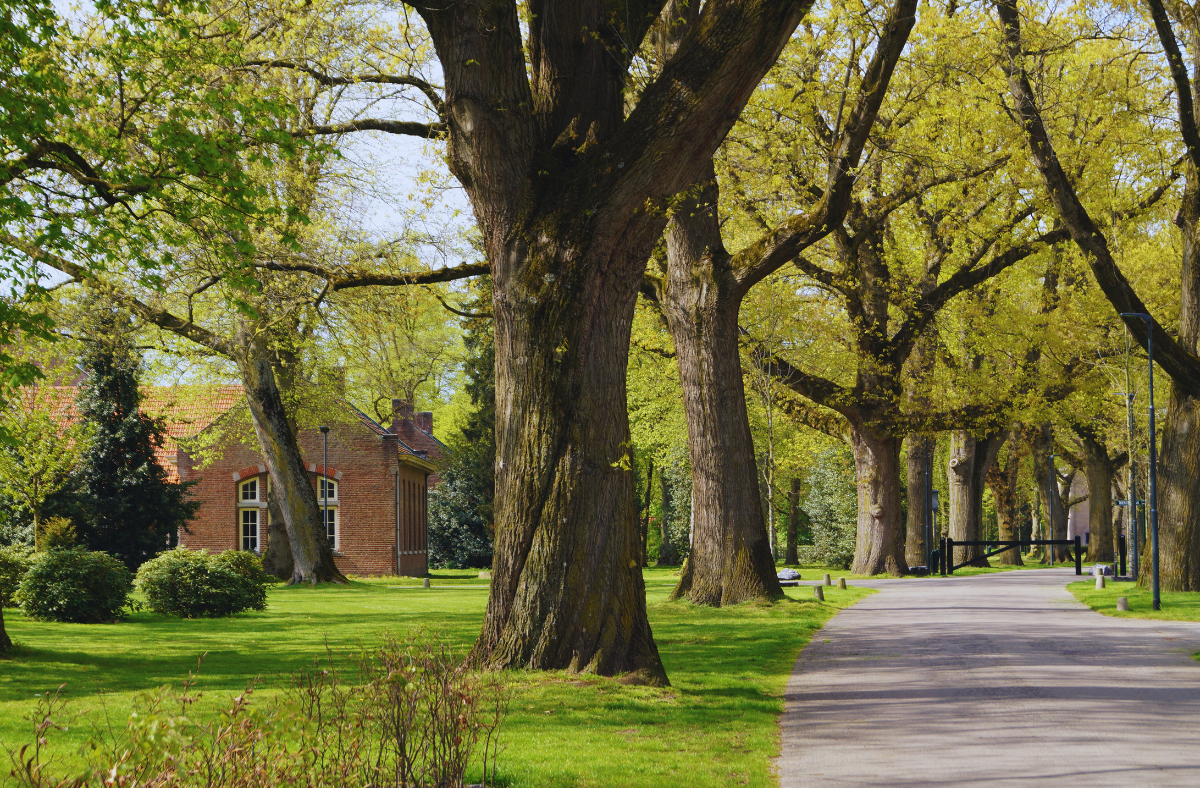 Wandeling op het Sint Anna terrein in Venray